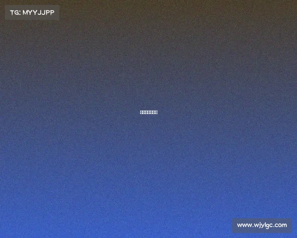 樊振东赛事表现